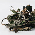 Bai Mu Dan White Tea Spring 2026