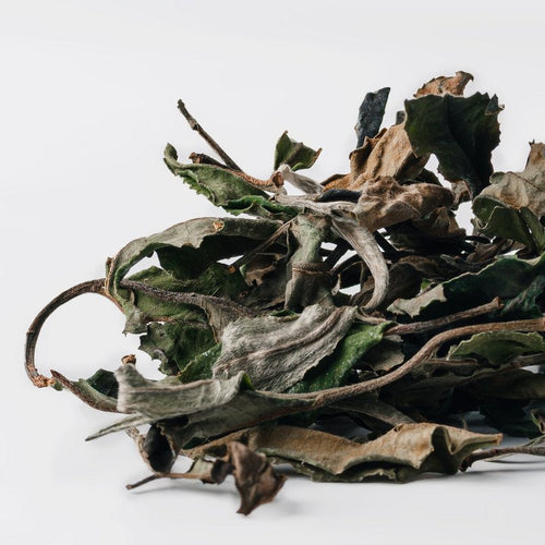Bai Mu Dan White Tea Spring 2026