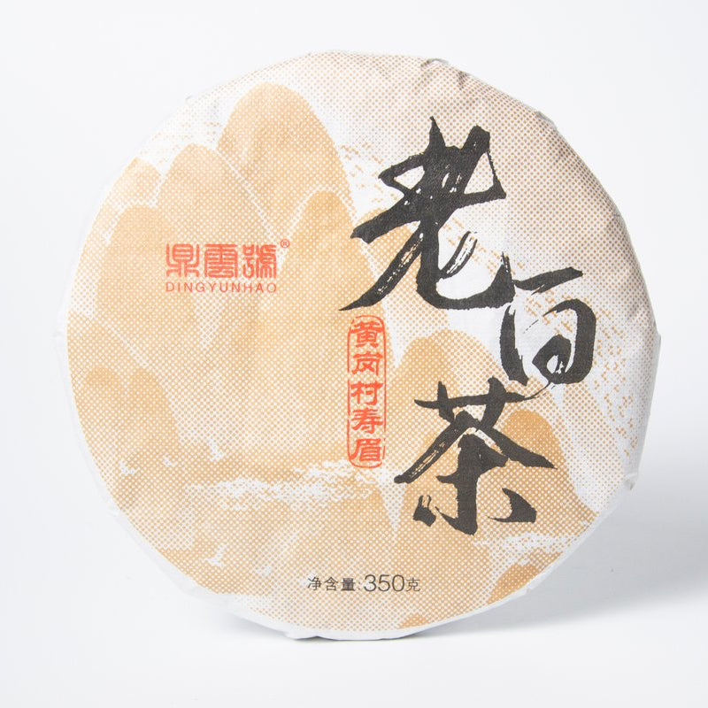 Lao Shou Mei 2017 aged white tea cake from Fuding, China with rich golden liquor