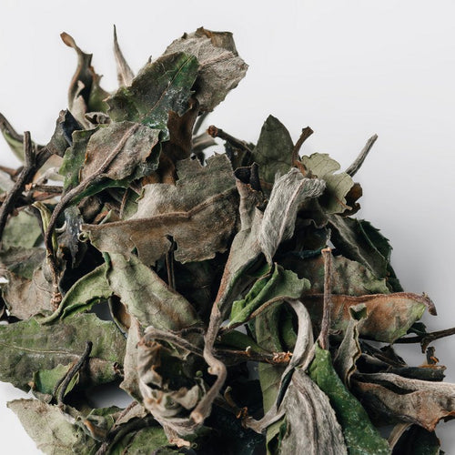 Loose leaf Bai Mu Dan White Tea from Yunnan